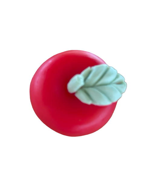 Apple Soap Party Favors –Personalized White Label Fall Novelty Gift | Set of 10