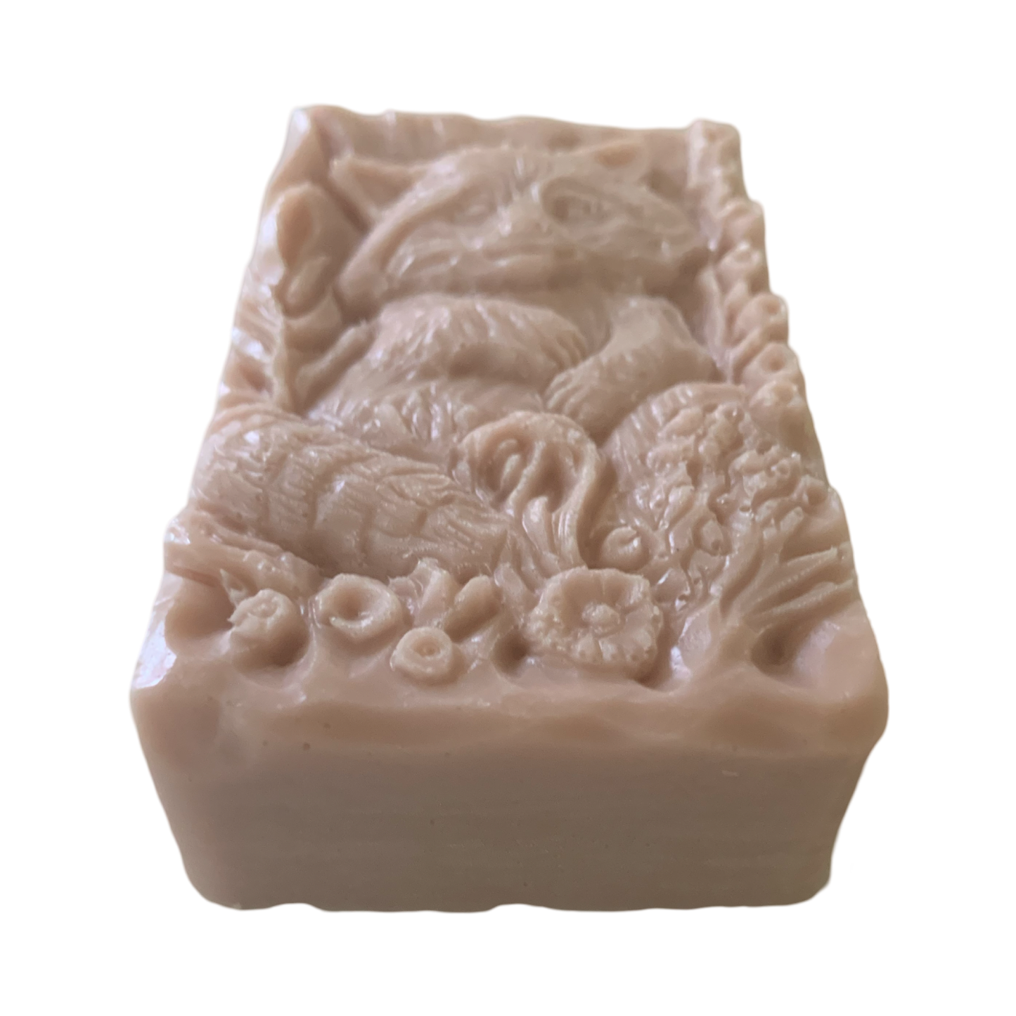 Racoon bar of soap