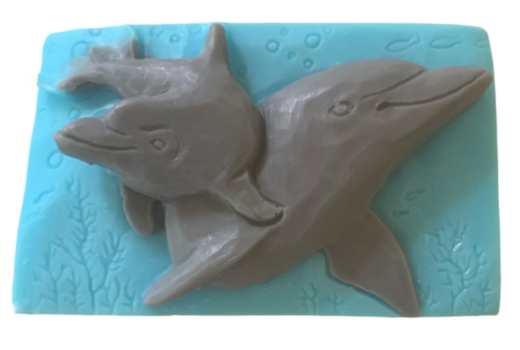 Dolphin Soap