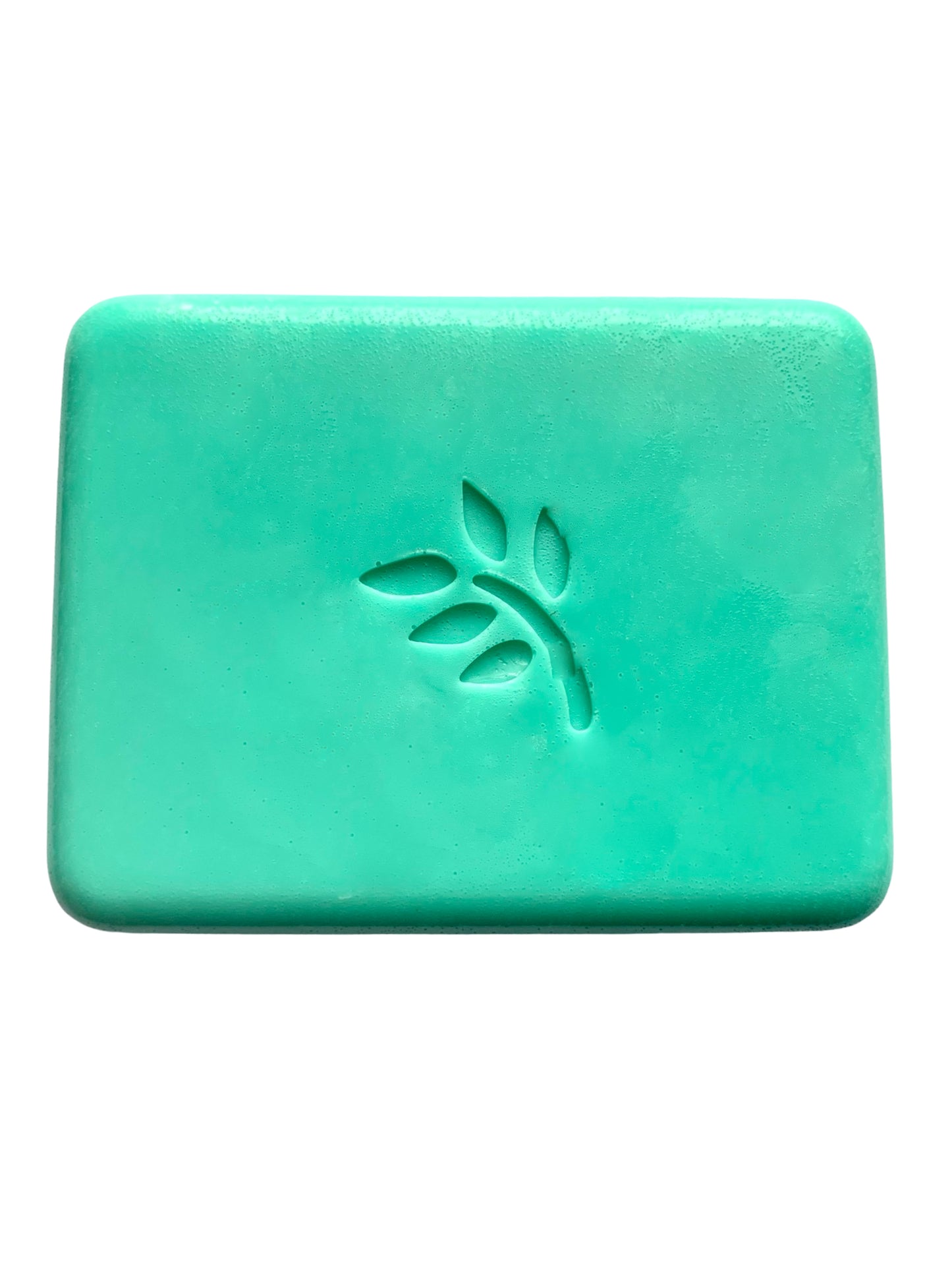 Beach Scented Bar of Soap