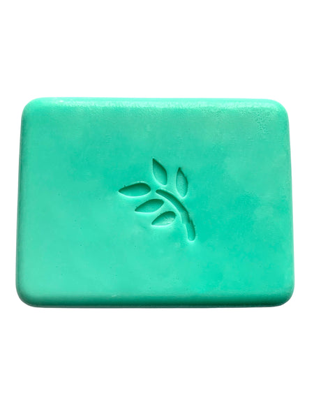 Beach Scented Bar of Soap