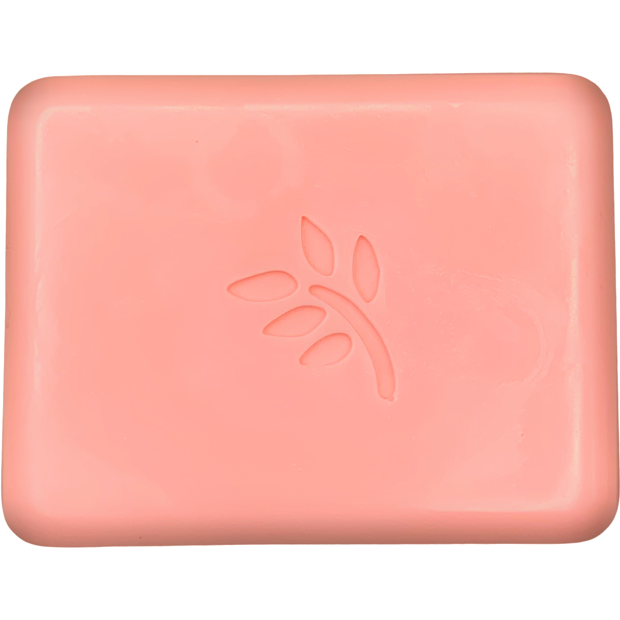 White Tea and Ginger Bar of Soap