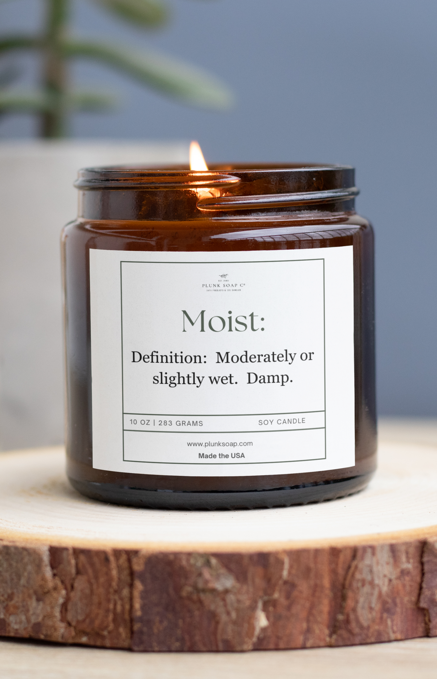 MOIST:  Definition:  Moderately or slightly wet.  Damp. Funny Scented Soy Candle