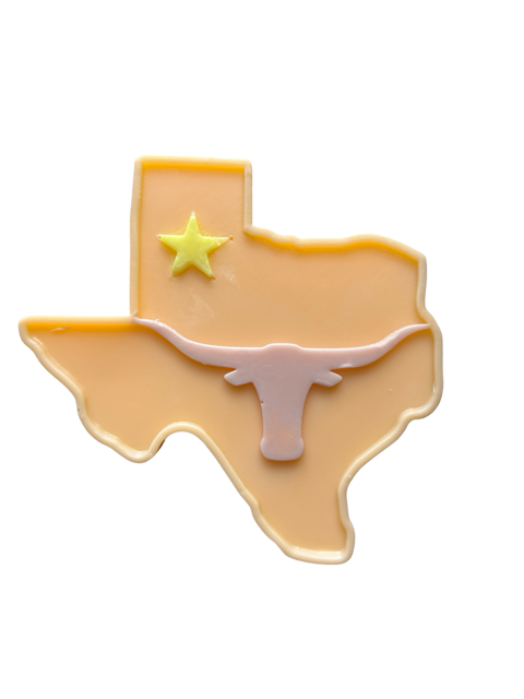 Texas State Soap with Longhorn and Star :  Western Theme