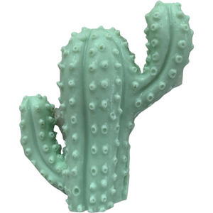Cactus Soap
