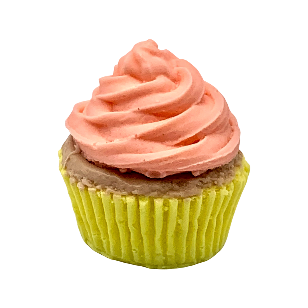 Cupcake Soap:  Free Shipping, Food Soap, Birthday Gift, Childrens Soap