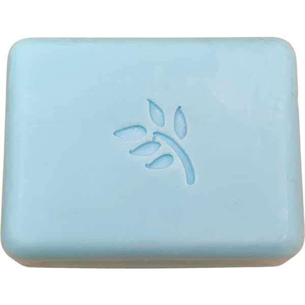 Cactus and Sea Salt Scented Artisian Bar of Soap with Shea Butter, Mango Butter and Coco Butter