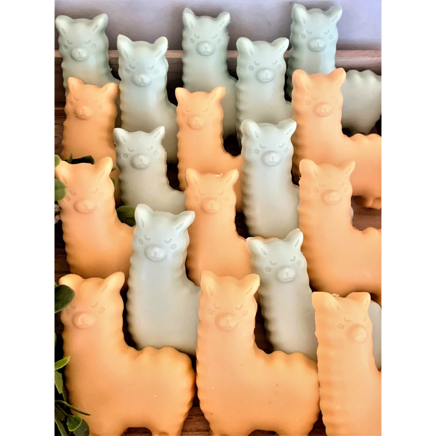 10 Llama Soap Party Favors